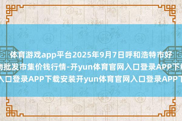 体育游戏app平台2025年9月7日呼和浩特市好意思通首府无公害农产物批发市集价钱行情-开yun体育官网入口登录APP下载安装开yun体育官网入口登录APP下载官方版
