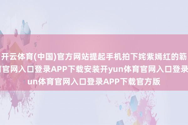 开云体育(中国)官方网站提起手机拍下姹紫嫣红的簕杜鹃-开yun体育官网入口登录APP下载安装开yun体育官网入口登录APP下载官方版