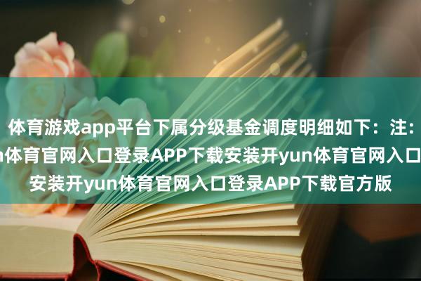 体育游戏app平台下属分级基金调度明细如下：注:把柄干系公告-开yun体育官网入口登录APP下载安装开yun体育官网入口登录APP下载官方版